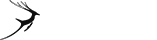 随买随用的ddos页端